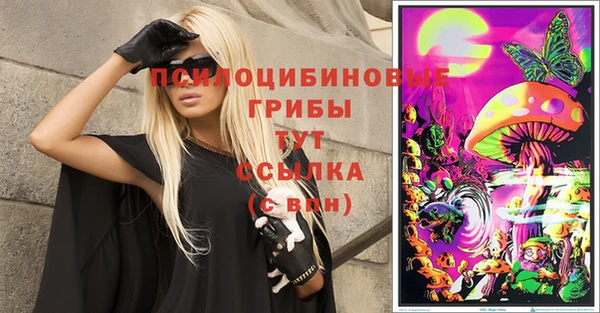 шишки Саяногорск