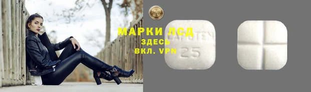 ГАЛЛЮЦИНОГЕННЫЕ ГРИБЫ Беломорск