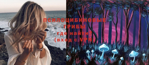 ГАЛЛЮЦИНОГЕННЫЕ ГРИБЫ Беломорск