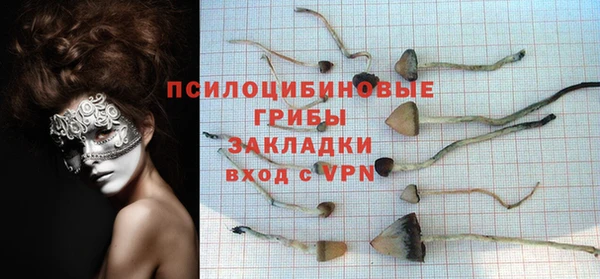 каннабис Белокуриха