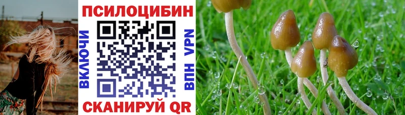 Псилоцибиновые грибы Cubensis  Светлогорск 